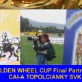 Golden Wheel CUP FINAL PLACE Pairs Driving 2009, CAI-A Topolcianky SVK